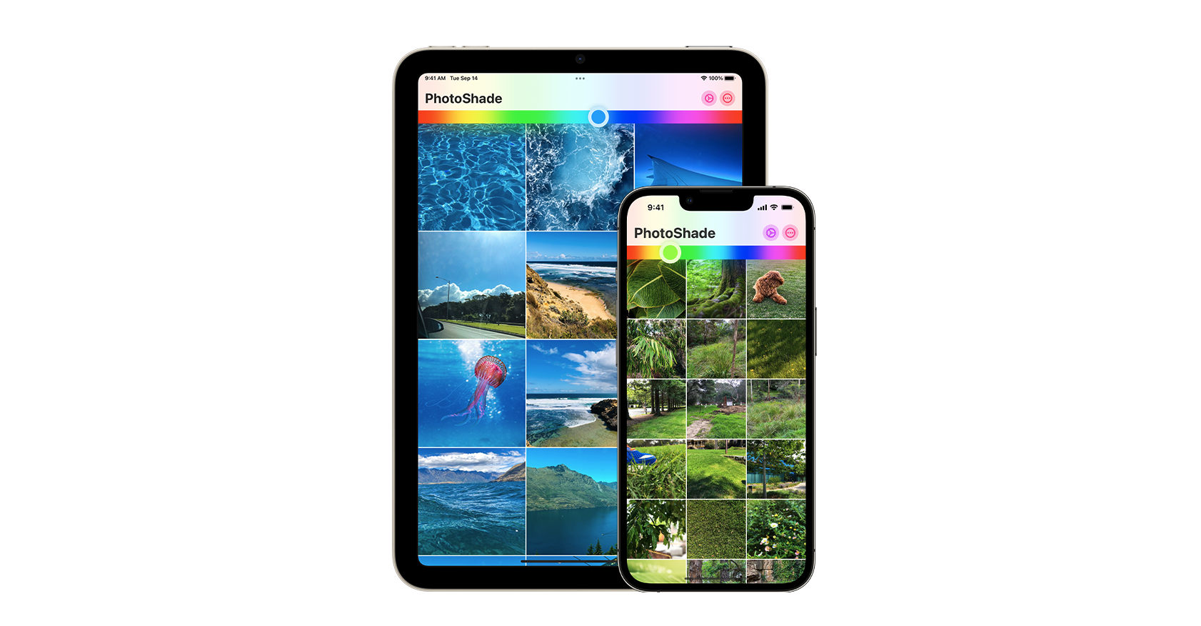 best photo viewer for iphone