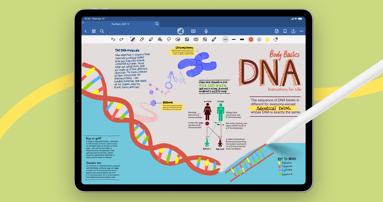 Goodnotes 6 Arrives With AI-Powered Writing Aids and Math Assistance